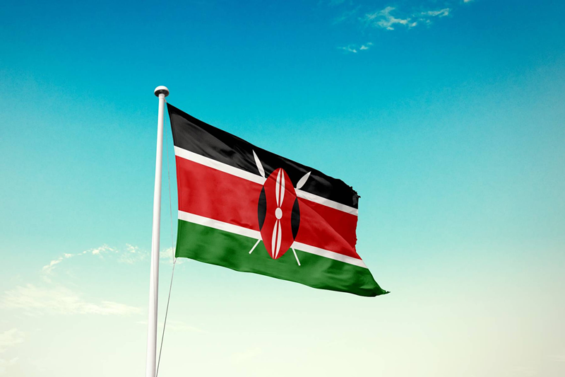 Kenya: Bill Would Impose Extreme Vape and Pouch Restrictions